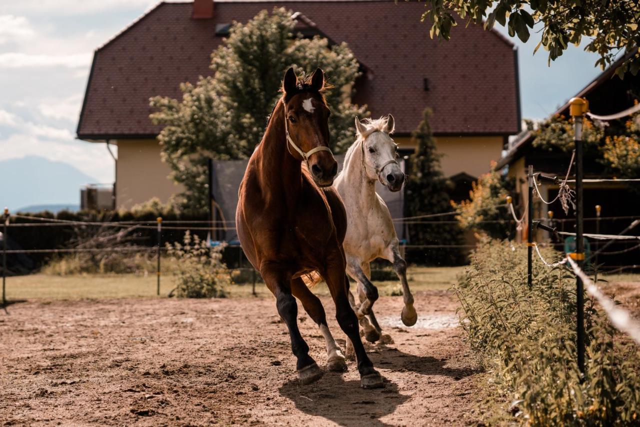 Urlaub Fuer Mensch Und Tier - Appartements Pirkhof Pörtschach am Wörthersee Exteriér fotografie