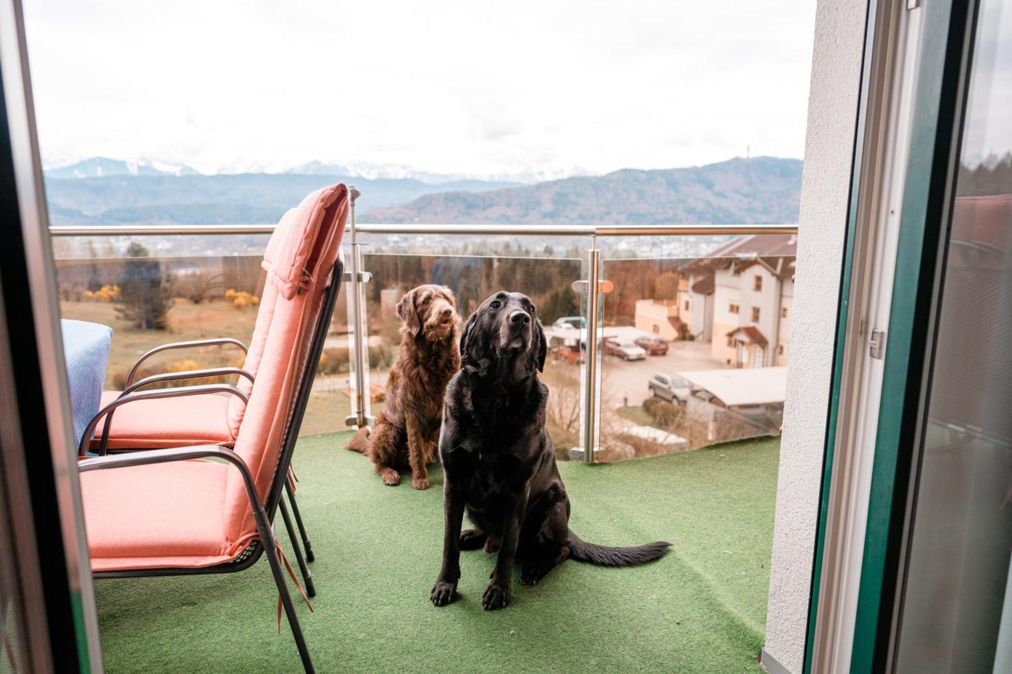 Urlaub Fuer Mensch Und Tier - Appartements Pirkhof Pörtschach am Wörthersee Exteriér fotografie